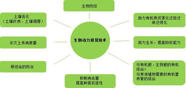 復(fù)振科技 從醫(yī)藥跨界環(huán)保的“野蠻人”，如何在環(huán)境科技領(lǐng)域開(kāi)疆拓土？