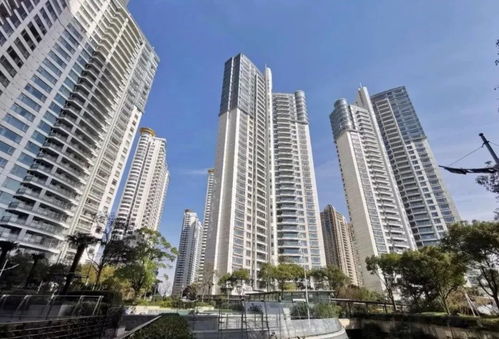 誰(shuí)站在陸家嘴豪宅鄙視鏈頂端 湯臣一品VS中糧海景壹號(hào)