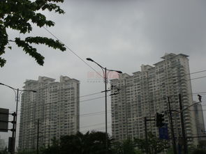 光明城市 上海光明城市配套實(shí)景圖,樣板間,效果圖,戶型圖 上海網(wǎng)易房產(chǎn)