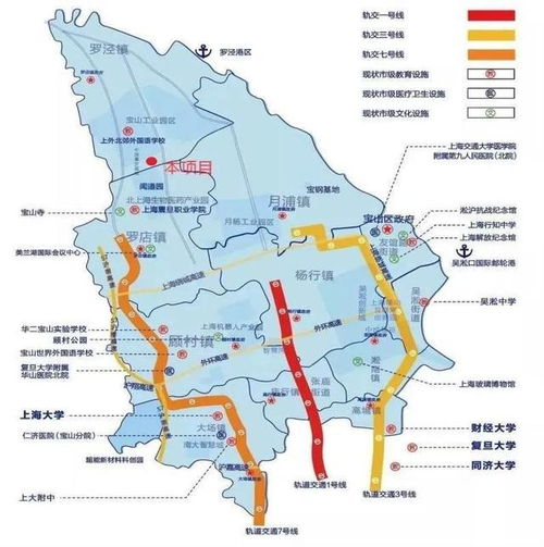 上海市寶山區(qū)潘涇路工業(yè)用地和廠房轉(zhuǎn)讓項(xiàng)目 推動(dòng)產(chǎn)業(yè)升級(jí)與房地產(chǎn)開(kāi)發(fā)新機(jī)遇